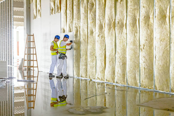 Best DIY Insulation Kits and Guidance in Williamsburg, KY